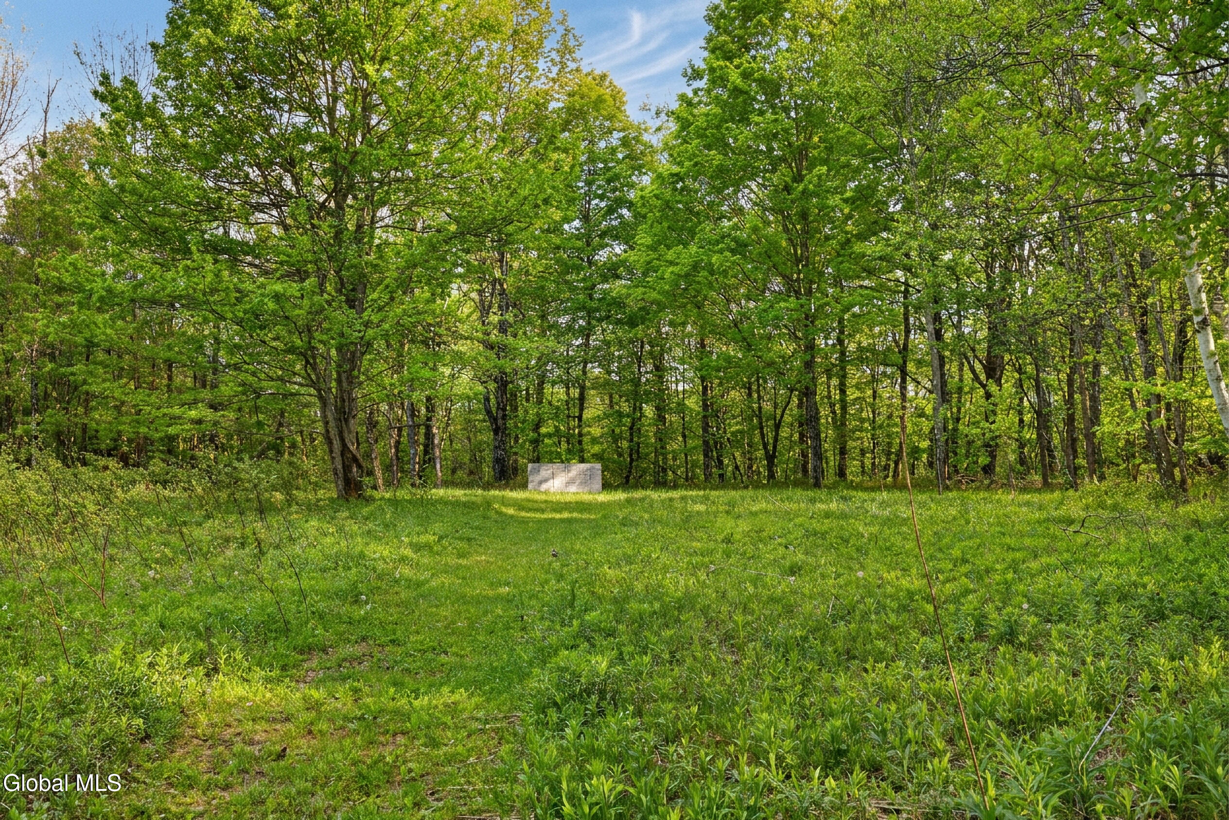 164 Zellner Road Summit, NY 12175 - Photo 88 of 102 164 Zellner Rd - Exterior-Camera-Drone-2