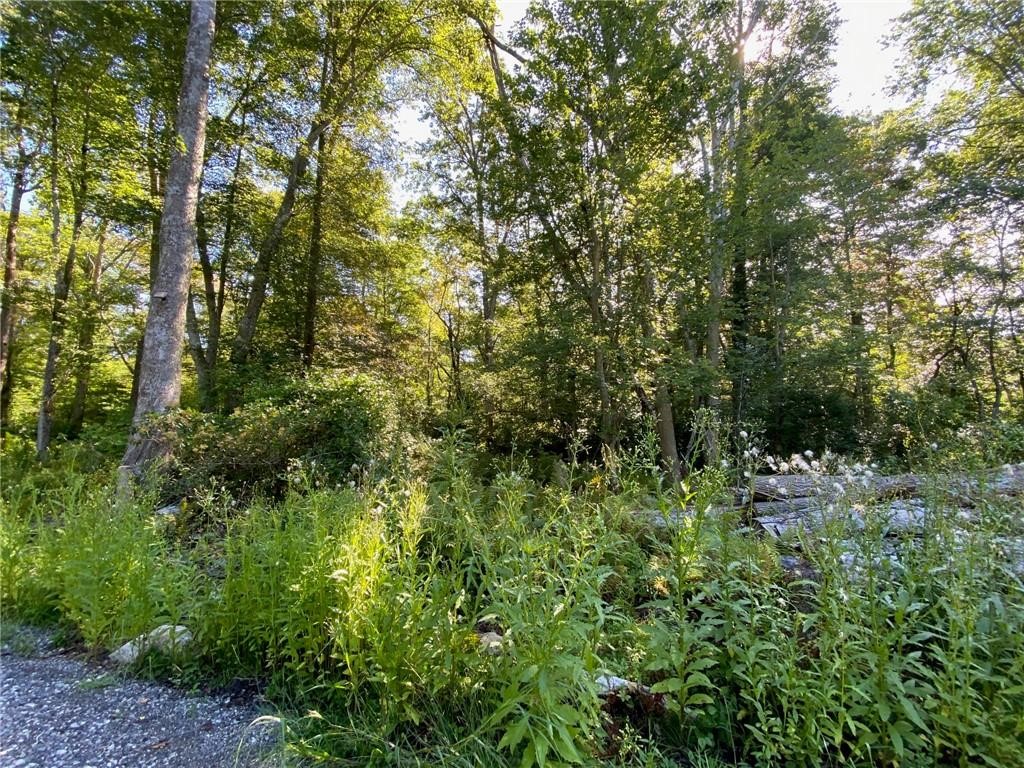 98 Brayton Road Tiverton, RI 02878 - Photo 4 of 11
