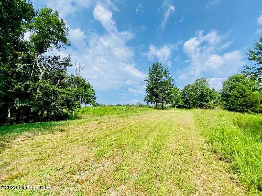 3147 Mayes Creek Road Springfield, KY 40069 - Photo 28 of 34 Land4