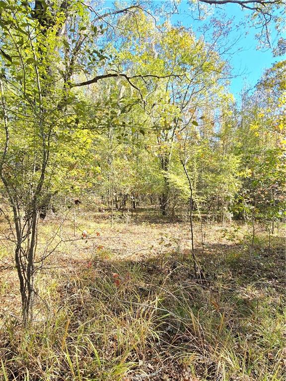 13 T10n R03w Natchitoches, LA 71457 - Photo 3 of 8