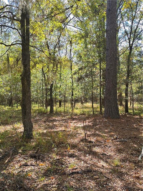 13 T10n R03w Natchitoches, LA 71457 - Photo 4 of 8