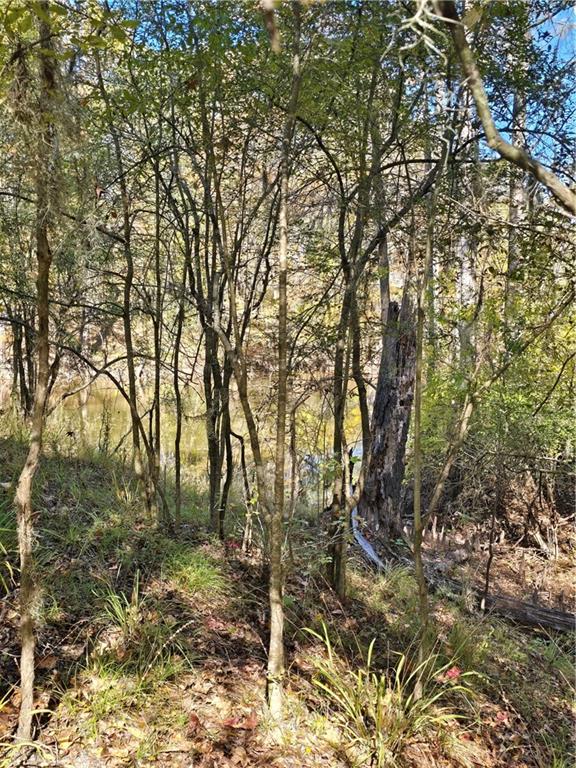 13 T10n R03w Natchitoches, LA 71457 - Photo 6 of 8