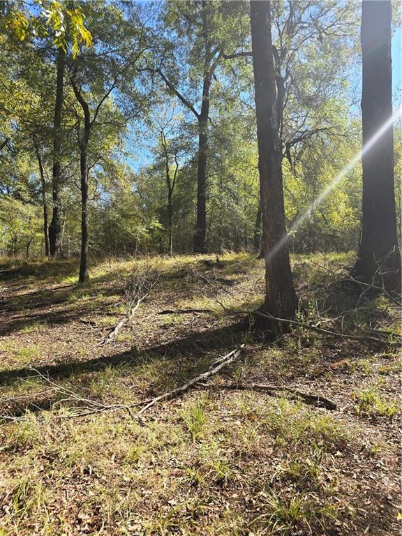 13 T10n R03w Natchitoches, LA 71457 - Photo 7 of 8