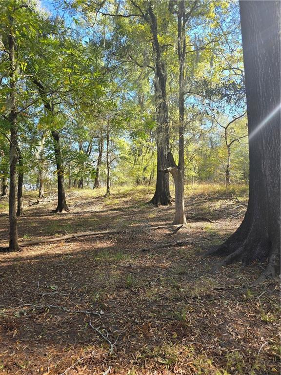 13 T10n R03w Natchitoches, LA 71457 - Photo 8 of 8