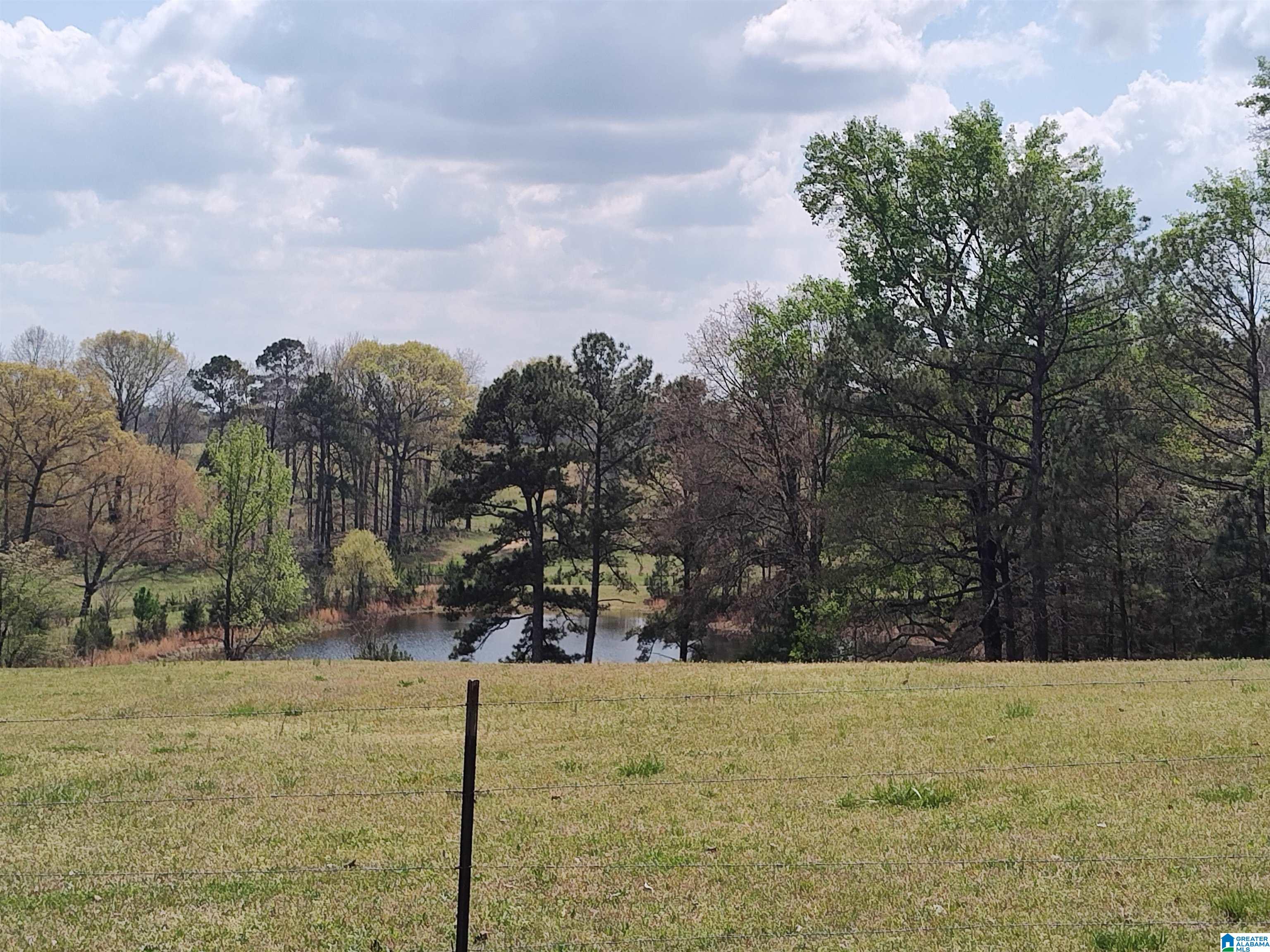 75 Mary Lee Lane Alpine, AL 35014 - Photo 4 of 77