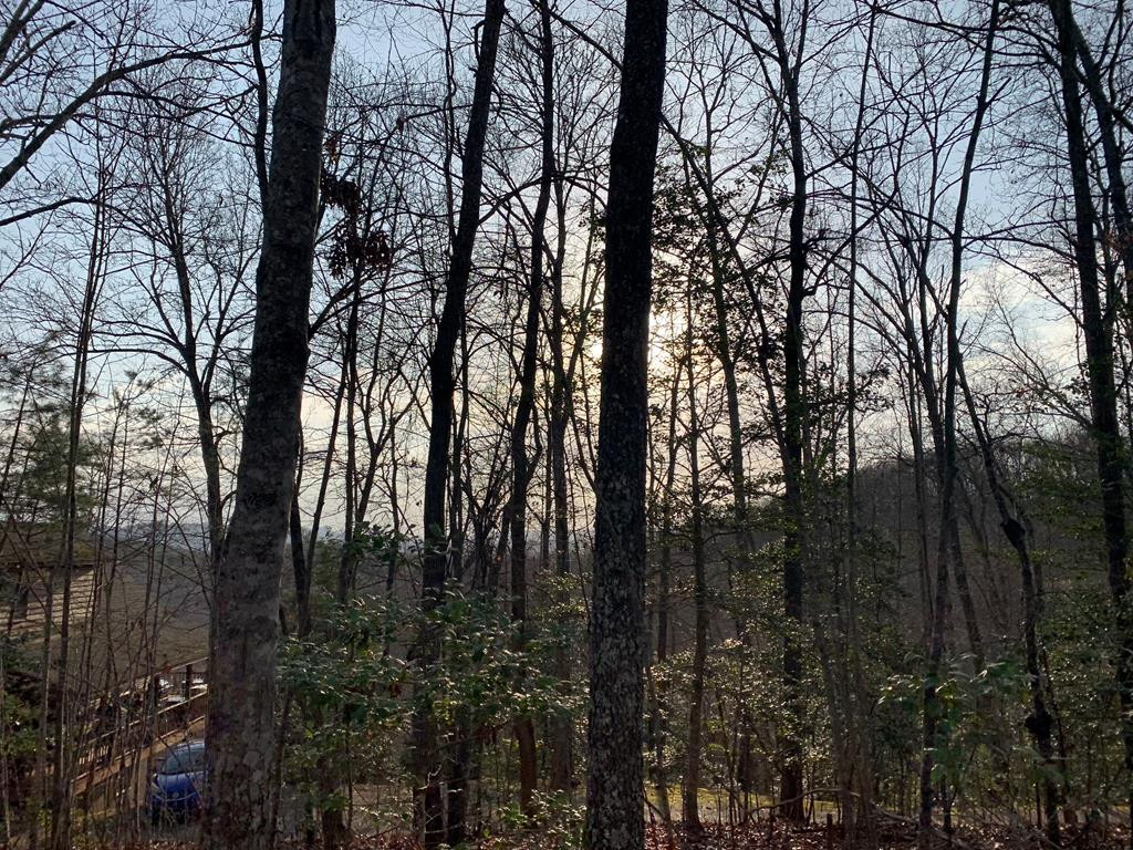 0 Ranger Road Murphy, NC 28906 - Photo 1 of 13 Main View