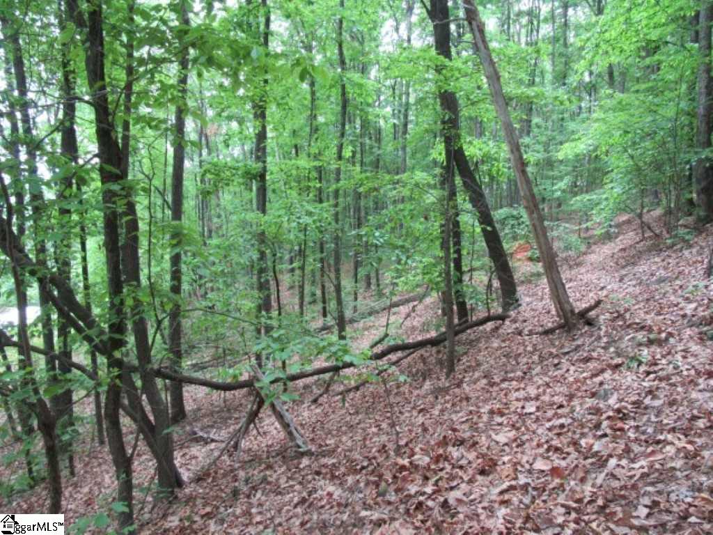 23 A Curts Way Cleveland, SC 29635 - Photo 2 of 2