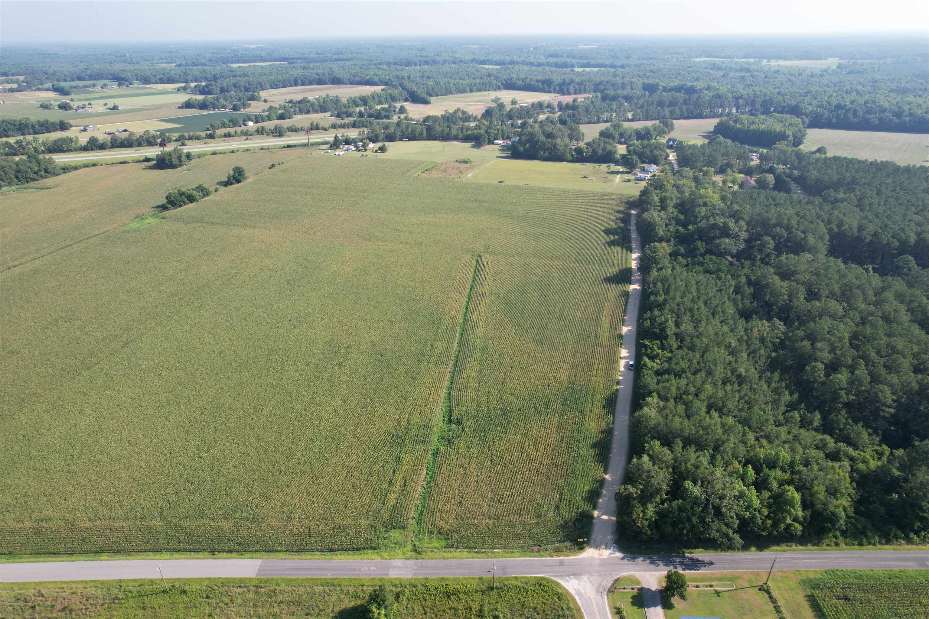 24.36-acres - Newman Swamp Road Lamar, SC 29069 - Photo 4 of 16 Gallery Image 4