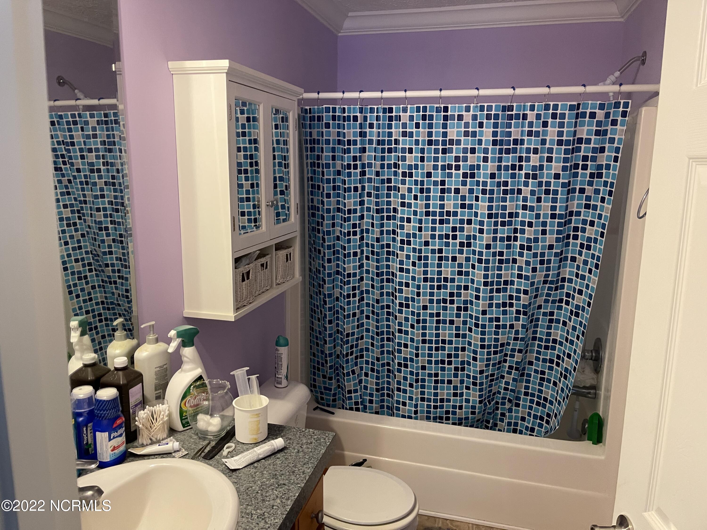 126 B Arthur Majette Road Aulander, NC 27805 - Photo 17 of 28 Bathroom 1