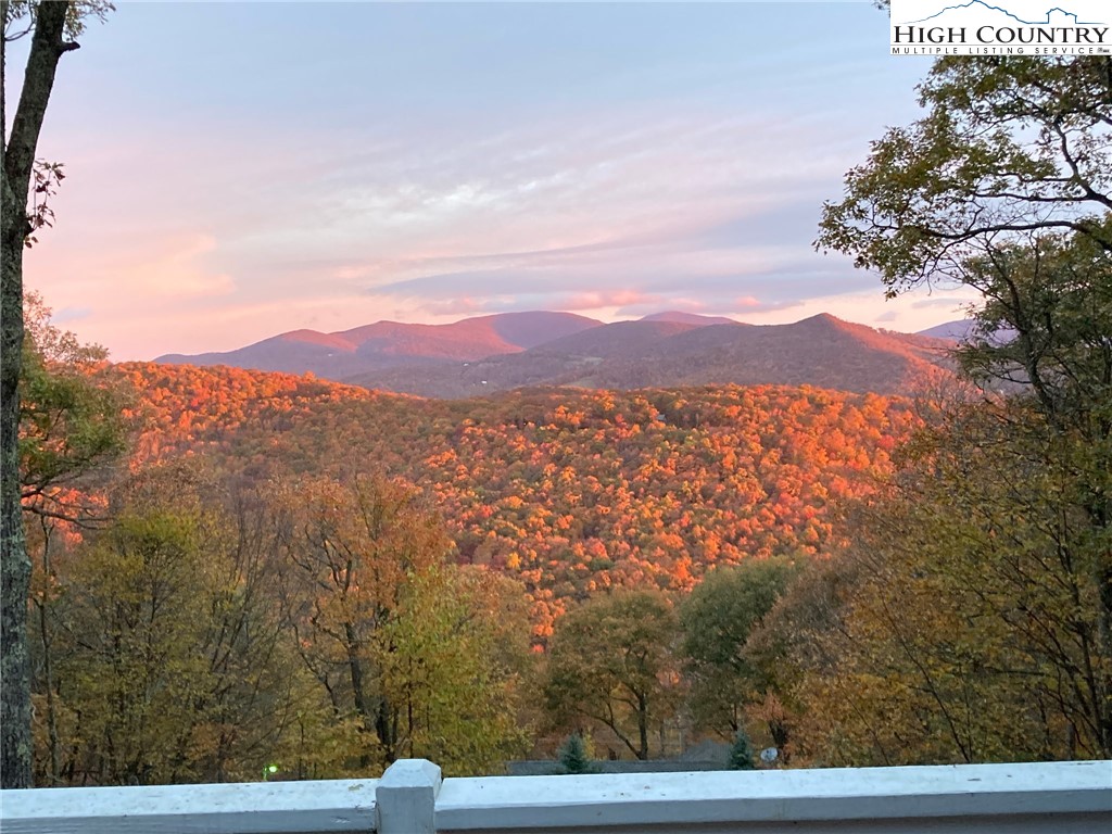 570 Running Deer Trail Boone, NC 28607 - Photo 3 of 50 Gallery Image 3