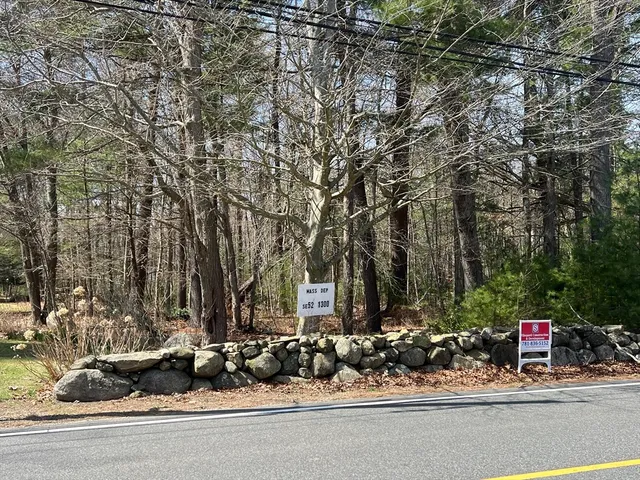 a view of yard with tree