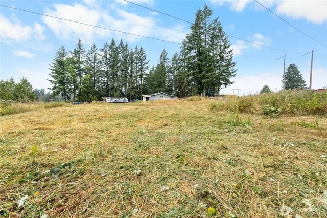 a view of a yard with a trees
