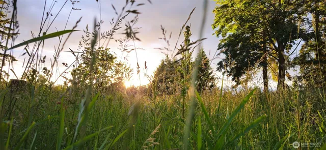 a view of outdoor space with trees