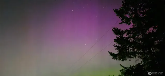 a view of a house with a yard and tree
