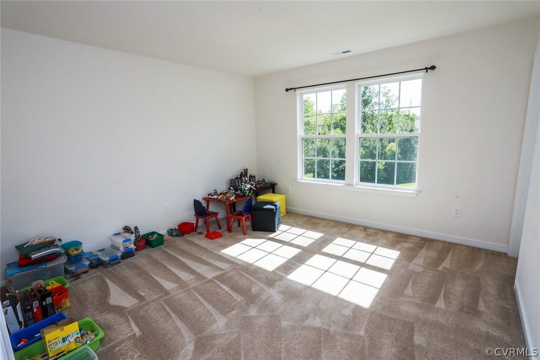 14512 Needham Market Road Midlothian, VA 23112 - Photo 32 of 50 Gallery Image 32