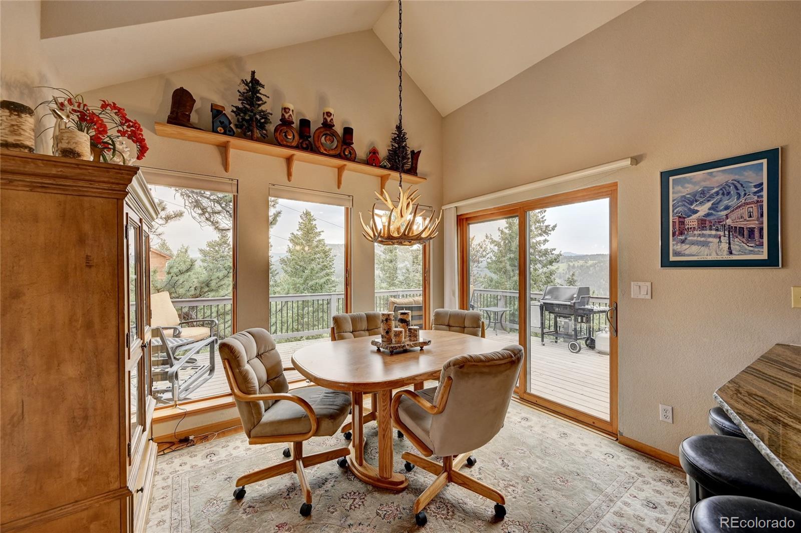 246 Long Ridge Drive Bailey, CO 80421 - Photo 17 of 40 Gallery Image 17