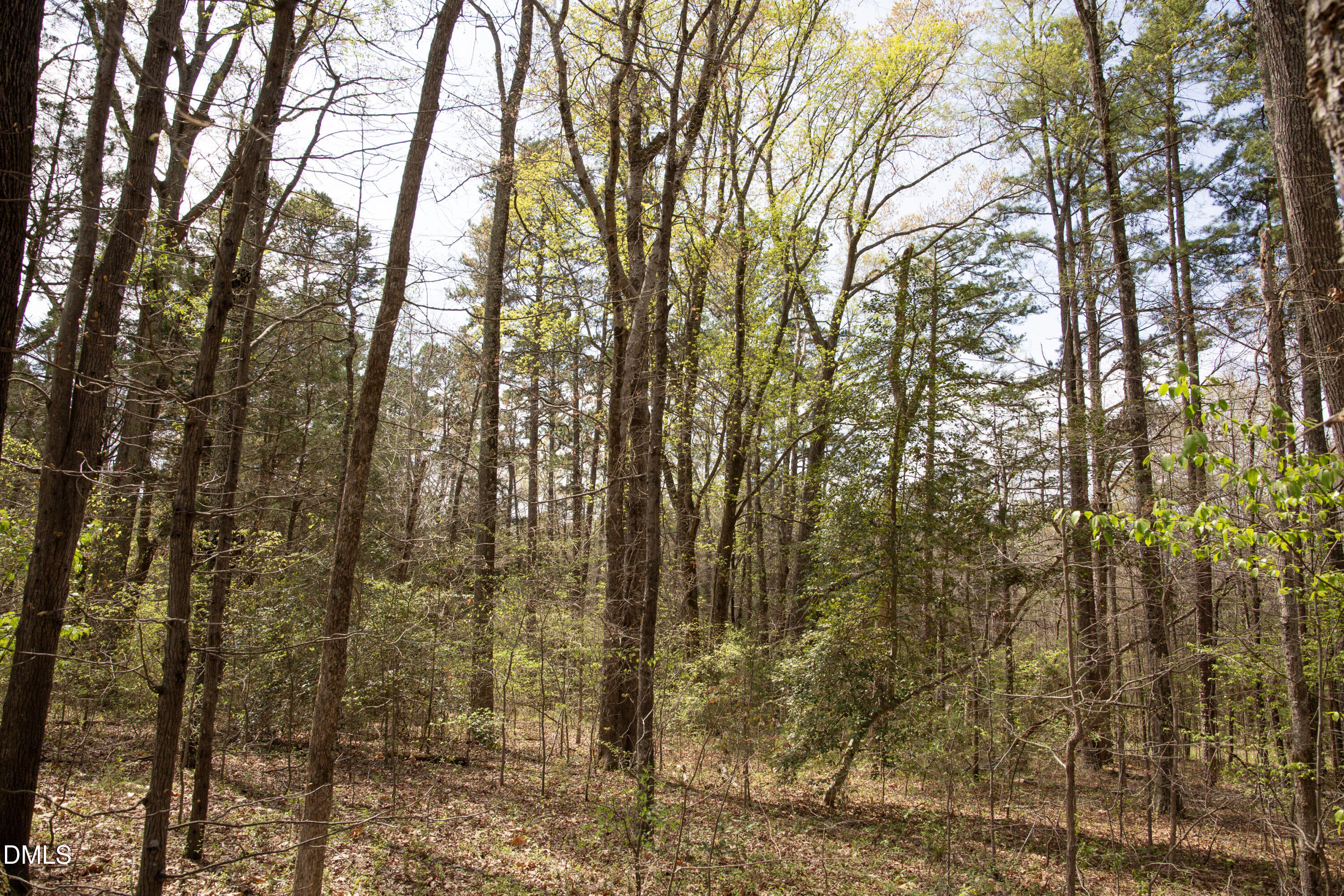 0 Tatum Road Roxboro, NC 27574 - Photo 14 of 21 Tatum Road 14