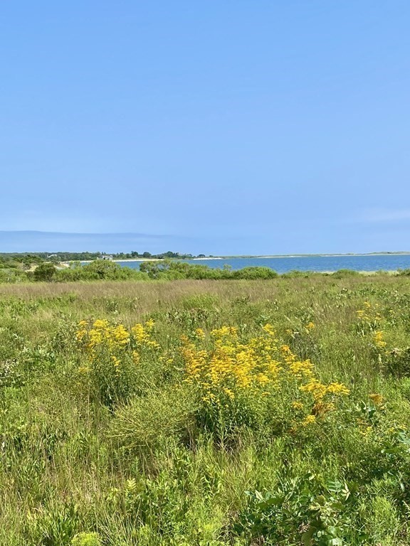 35 Plum Bush Point Road West Tisbury, MA 02568 - Photo 5 of 7 a view of an ocean and beach