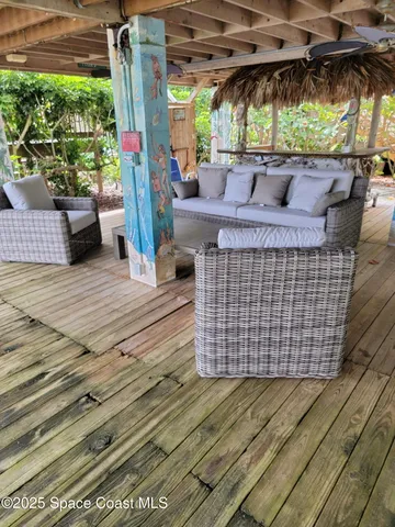 a close up of a potted plant