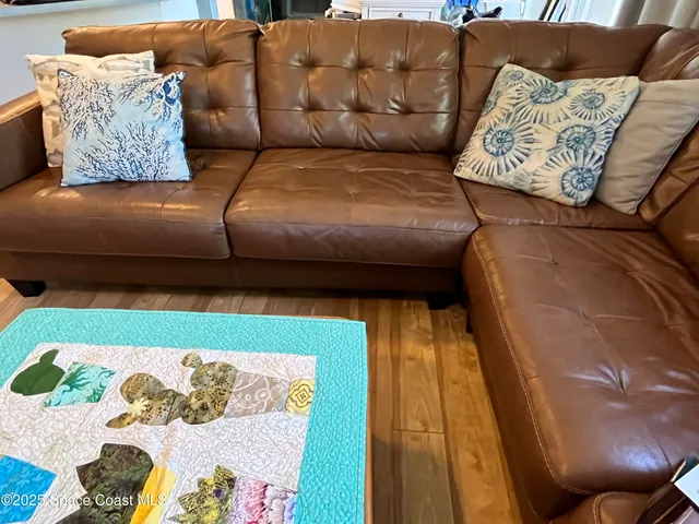 a living room with a couch and potted plant