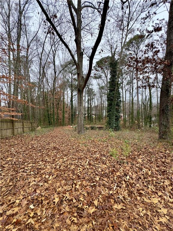 2152 Chestnut Place Lithia Springs, GA 30122 - Photo 3 of 8 a backyard of a house with lots of green space