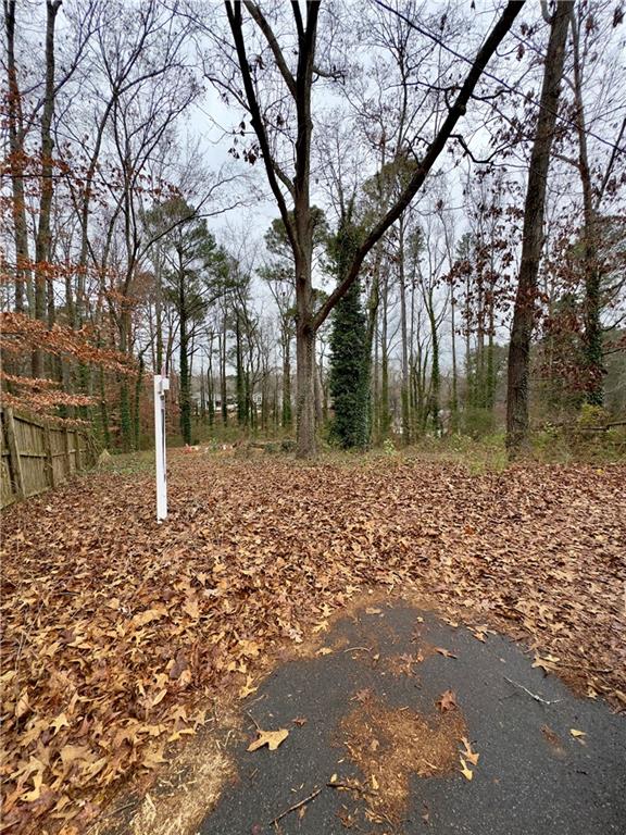 2152 Chestnut Place Lithia Springs, GA 30122 - Photo 5 of 8 a backyard of a house with lots of green space