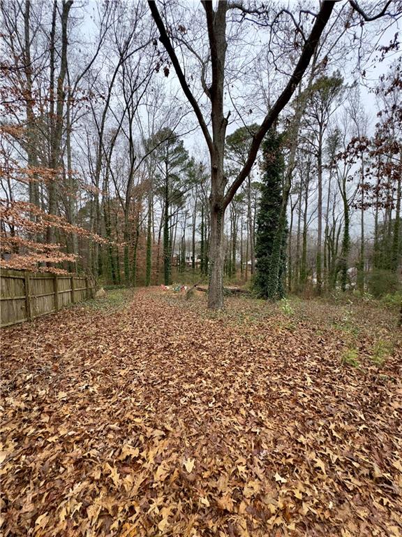 2152 Chestnut Place Lithia Springs, GA 30122 - Photo 8 of 8 a backyard of a house with lots of green space
