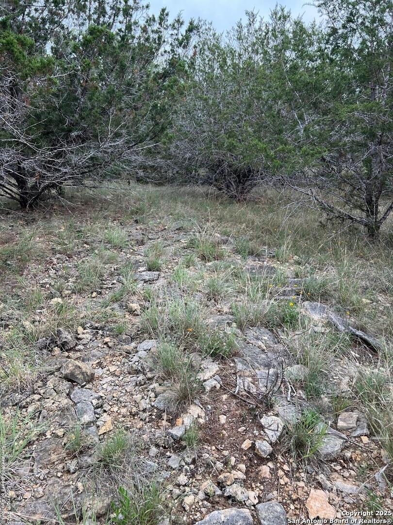 Tbd Oak Ridge Bandera, TX 78003 - Photo 11 of 27 a view of a dry yard with green space