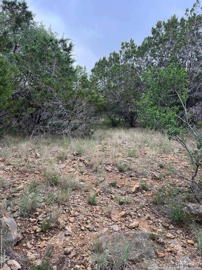 Tbd Oak Ridge Bandera, TX 78003 - Photo 12 of 27 a view of a yard with a tree