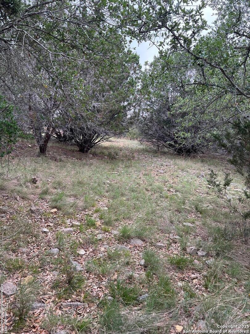 Tbd Oak Ridge Bandera, TX 78003 - Photo 13 of 27 a view of a yard with a tree