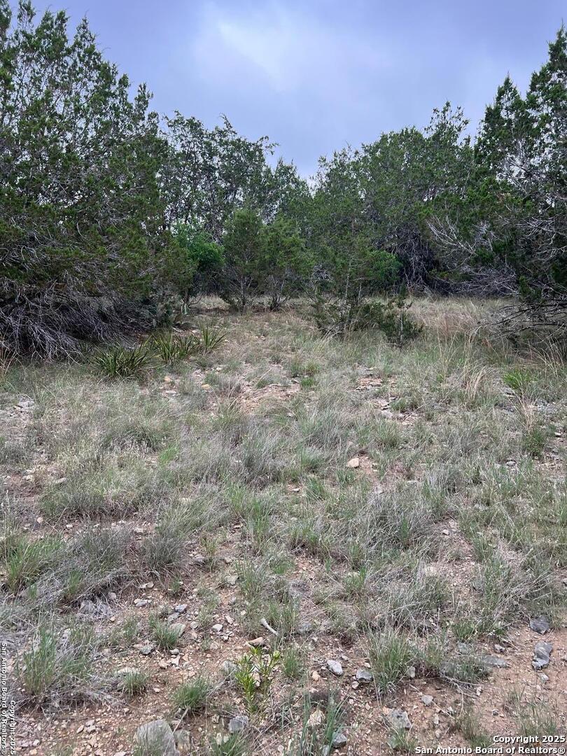 Tbd Oak Ridge Bandera, TX 78003 - Photo 15 of 27 a view of a dry yard with trees in the background