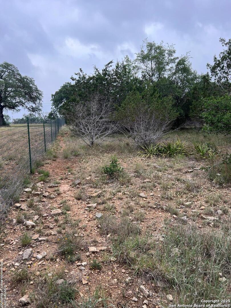 Tbd Oak Ridge Bandera, TX 78003 - Photo 17 of 27 a view of a yard with a tree