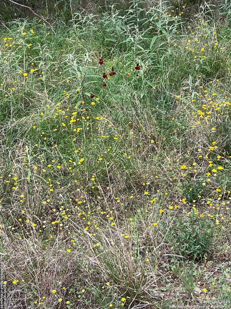 Tbd Oak Ridge Bandera, TX 78003 - Photo 18 of 27 a view of a green field
