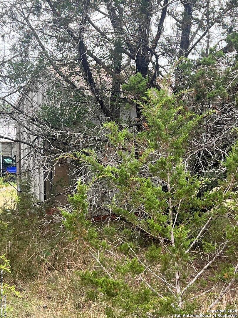Tbd Oak Ridge Bandera, TX 78003 - Photo 19 of 27 a view of a yard with plants