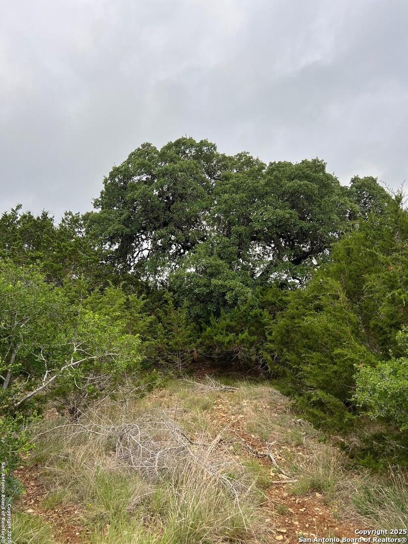 Tbd Oak Ridge Bandera, TX 78003 - Photo 2 of 27 a view of a bunch of trees and bushes