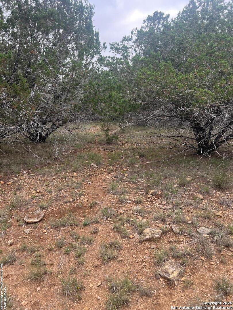 Tbd Oak Ridge Bandera, TX 78003 - Photo 23 of 27 a view of a dry yard with trees in the background