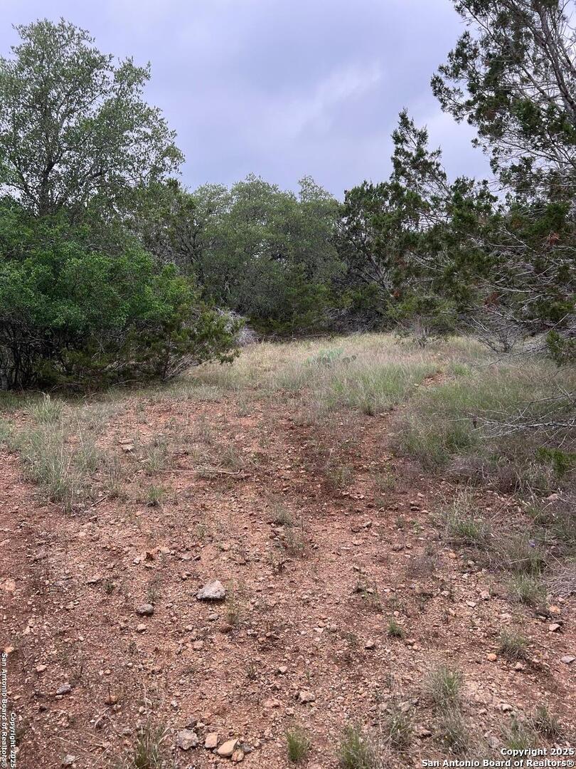 Tbd Oak Ridge Bandera, TX 78003 - Photo 4 of 27 a view of backyard with green space