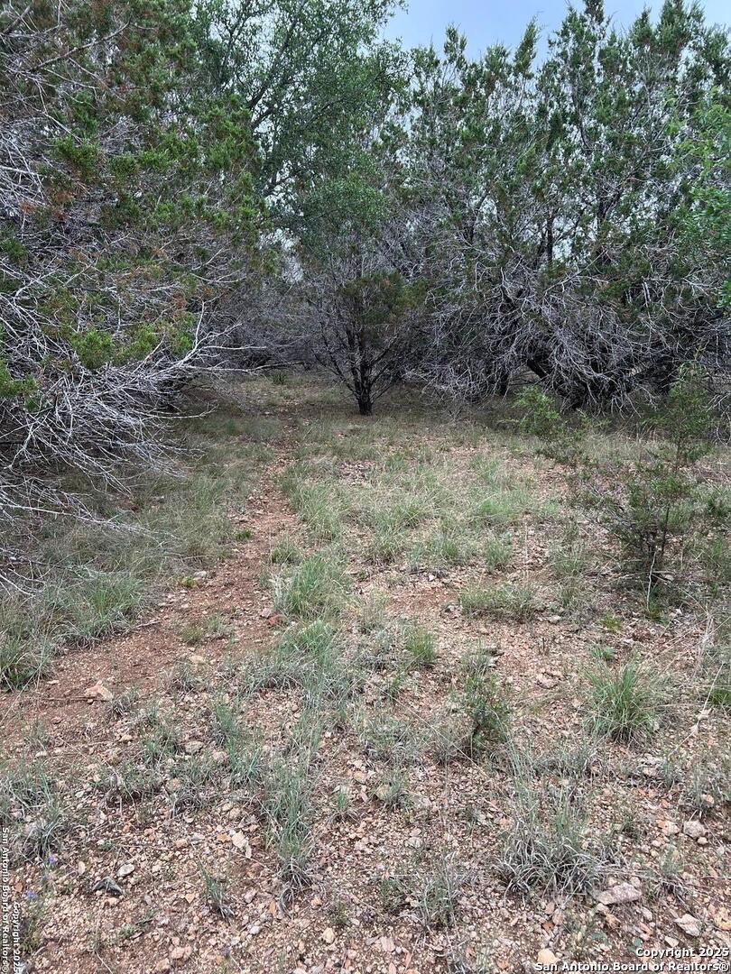 Tbd Oak Ridge Bandera, TX 78003 - Photo 5 of 27 a view of a yard with a tree
