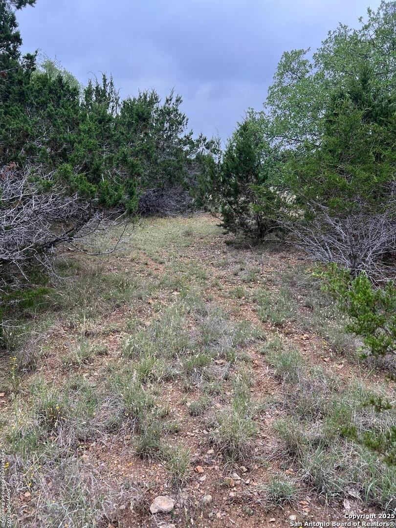 Tbd Oak Ridge Bandera, TX 78003 - Photo 6 of 27 a view of a yard with a tree