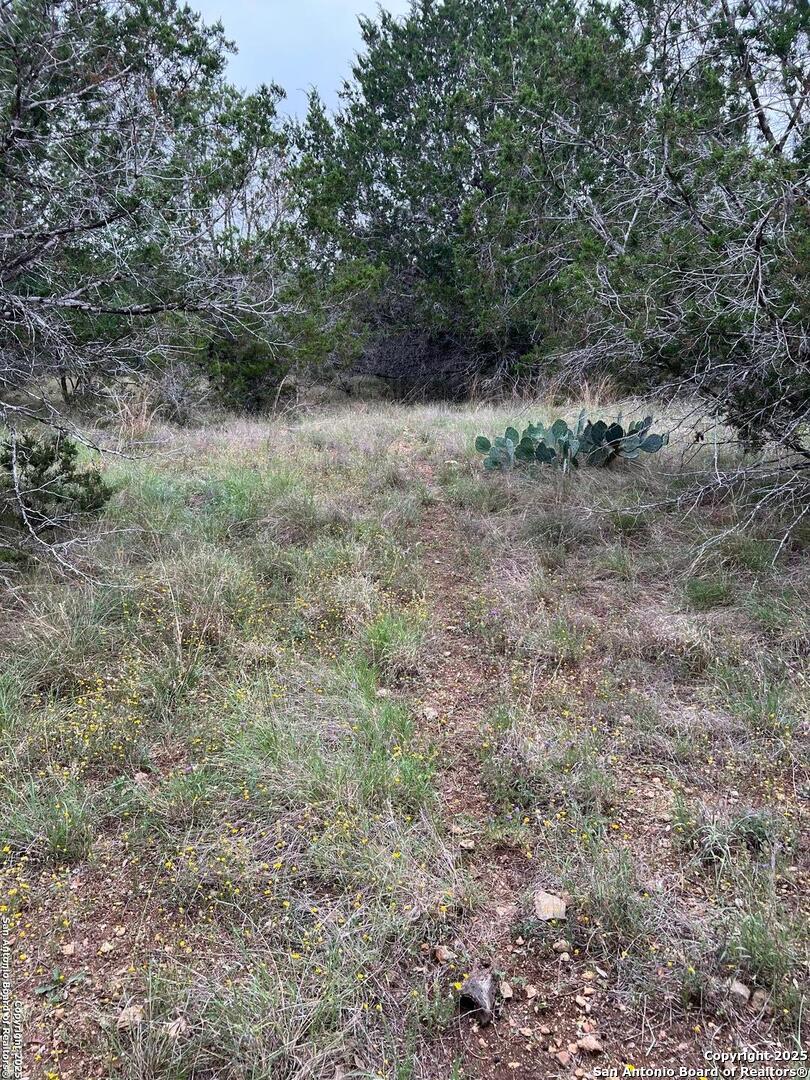 Tbd Oak Ridge Bandera, TX 78003 - Photo 7 of 27 a view of a dry yard with green space