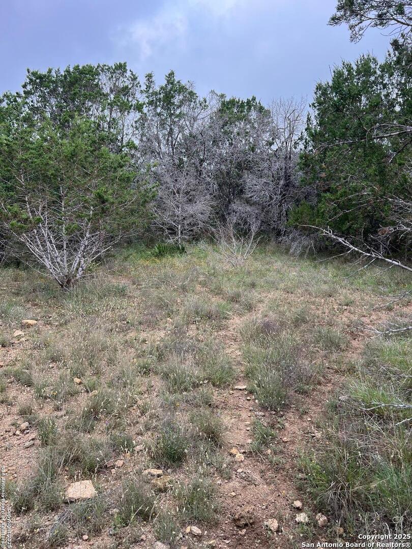 Tbd Oak Ridge Bandera, TX 78003 - Photo 8 of 27 a view of a dry yard with trees and stairs