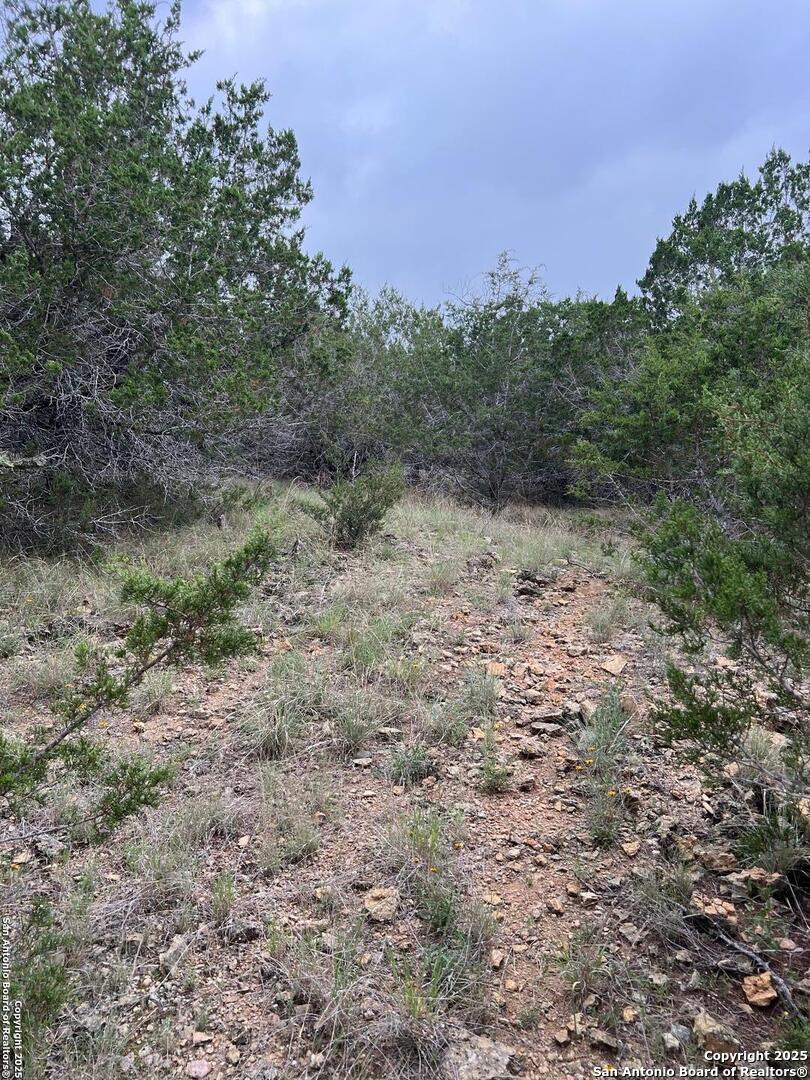 Tbd Oak Ridge Bandera, TX 78003 - Photo 9 of 27 a view of a large yard with lots of green space