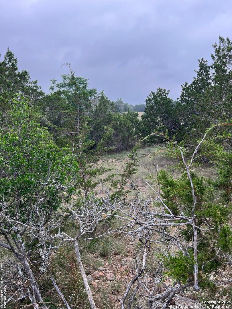 Tbd Oak Ridge Bandera, TX 78003 - Photo 10 of 27 a view of a field with a tree in the background