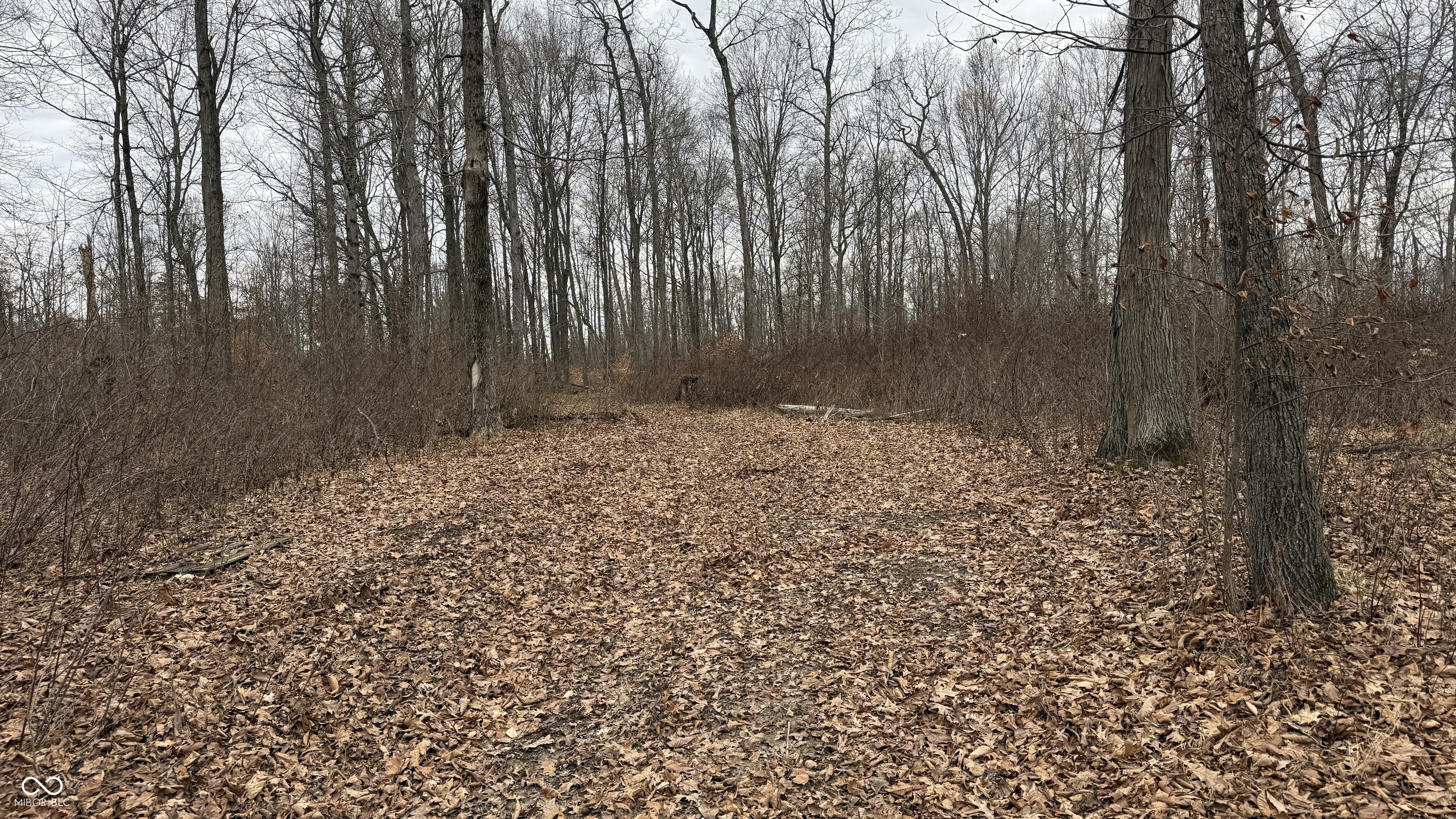 0 Steubenville Road Coal City, IN 47427 - Photo 11 of 75