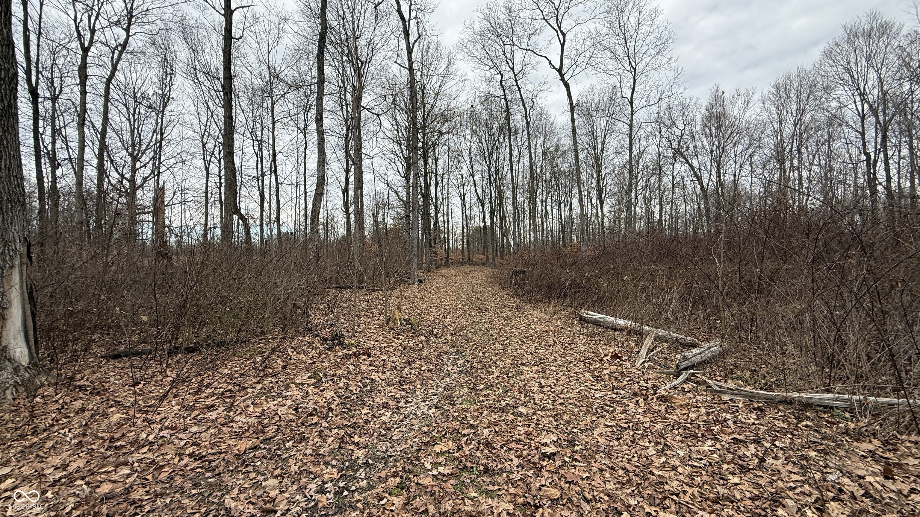 0 Steubenville Road Coal City, IN 47427 - Photo 12 of 75