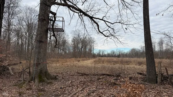 $720,032 | 0 Steubenville Road, Coal City, IN 47427