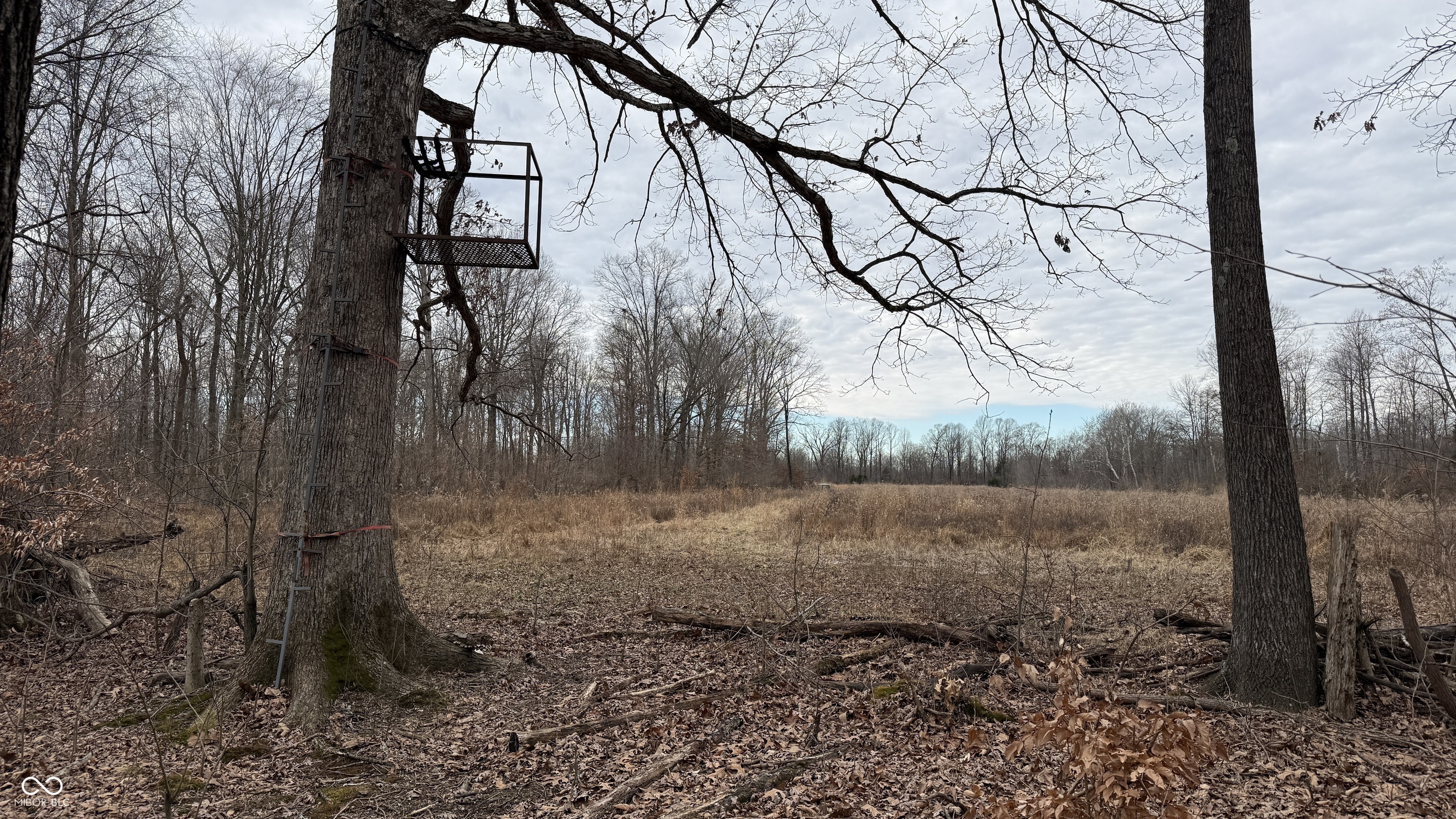 0 Steubenville Road Coal City, IN 47427 - Photo 13 of 75