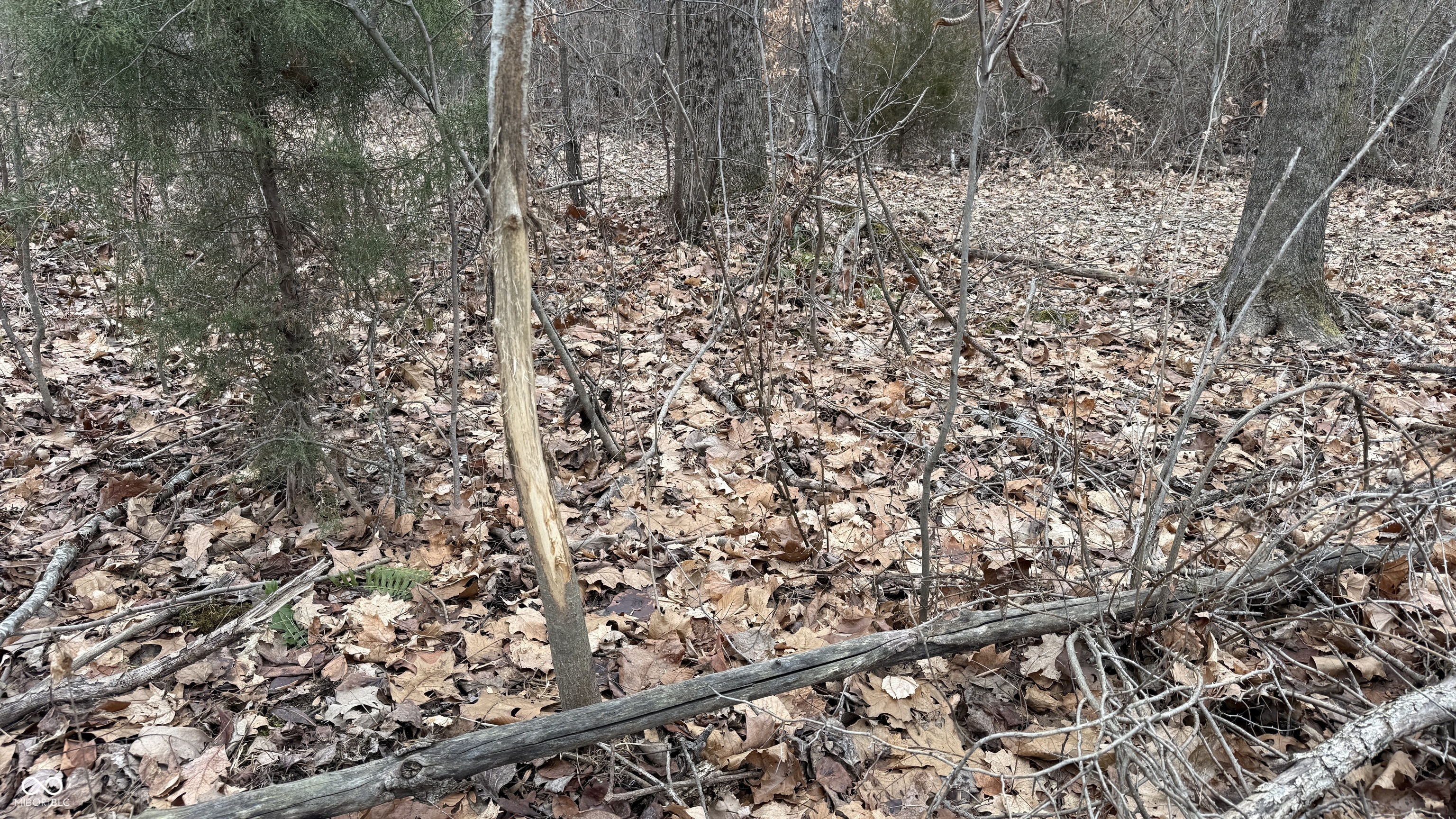 0 Steubenville Road Coal City, IN 47427 - Photo 20 of 75