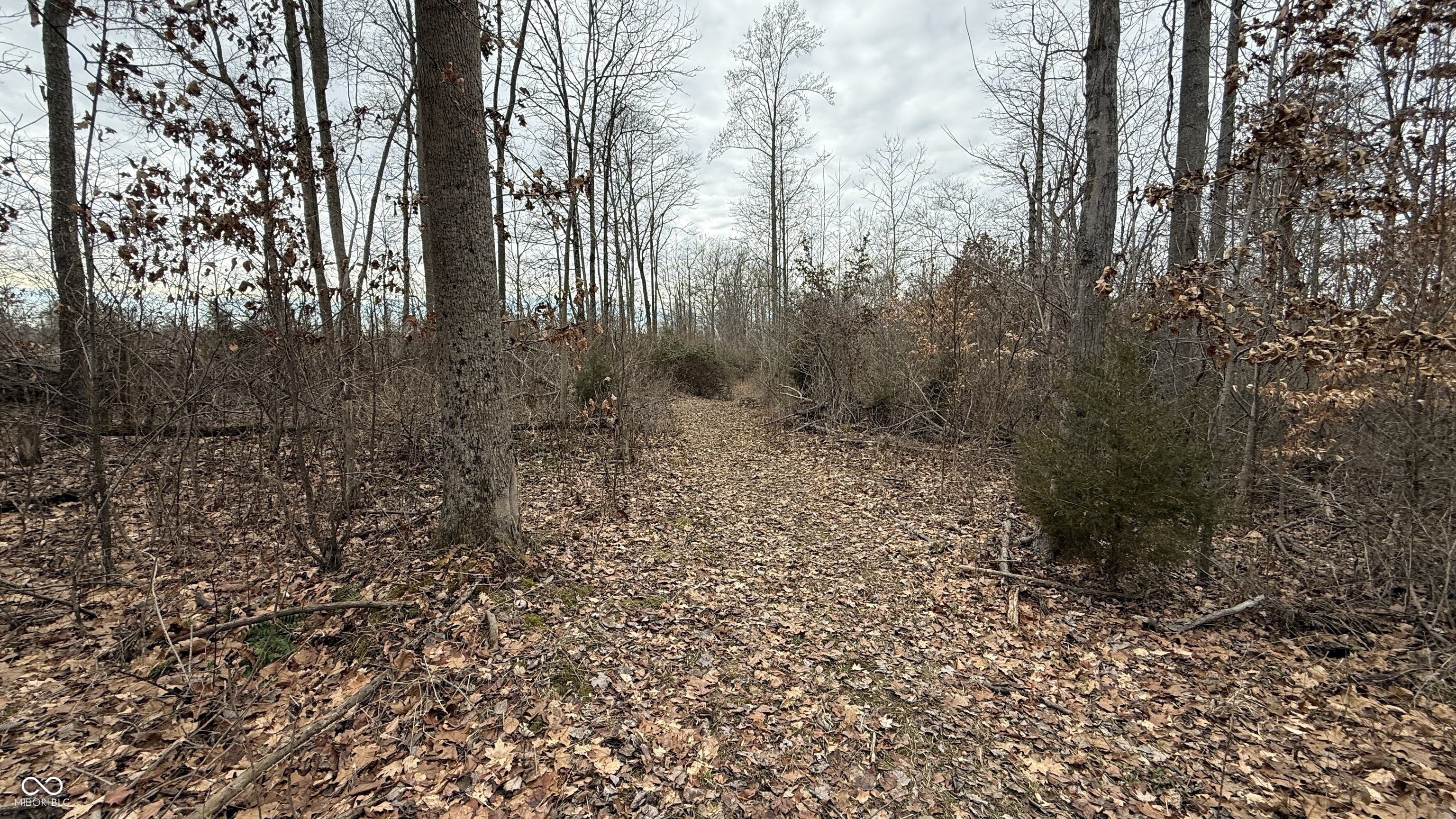 0 Steubenville Road Coal City, IN 47427 - Photo 21 of 75