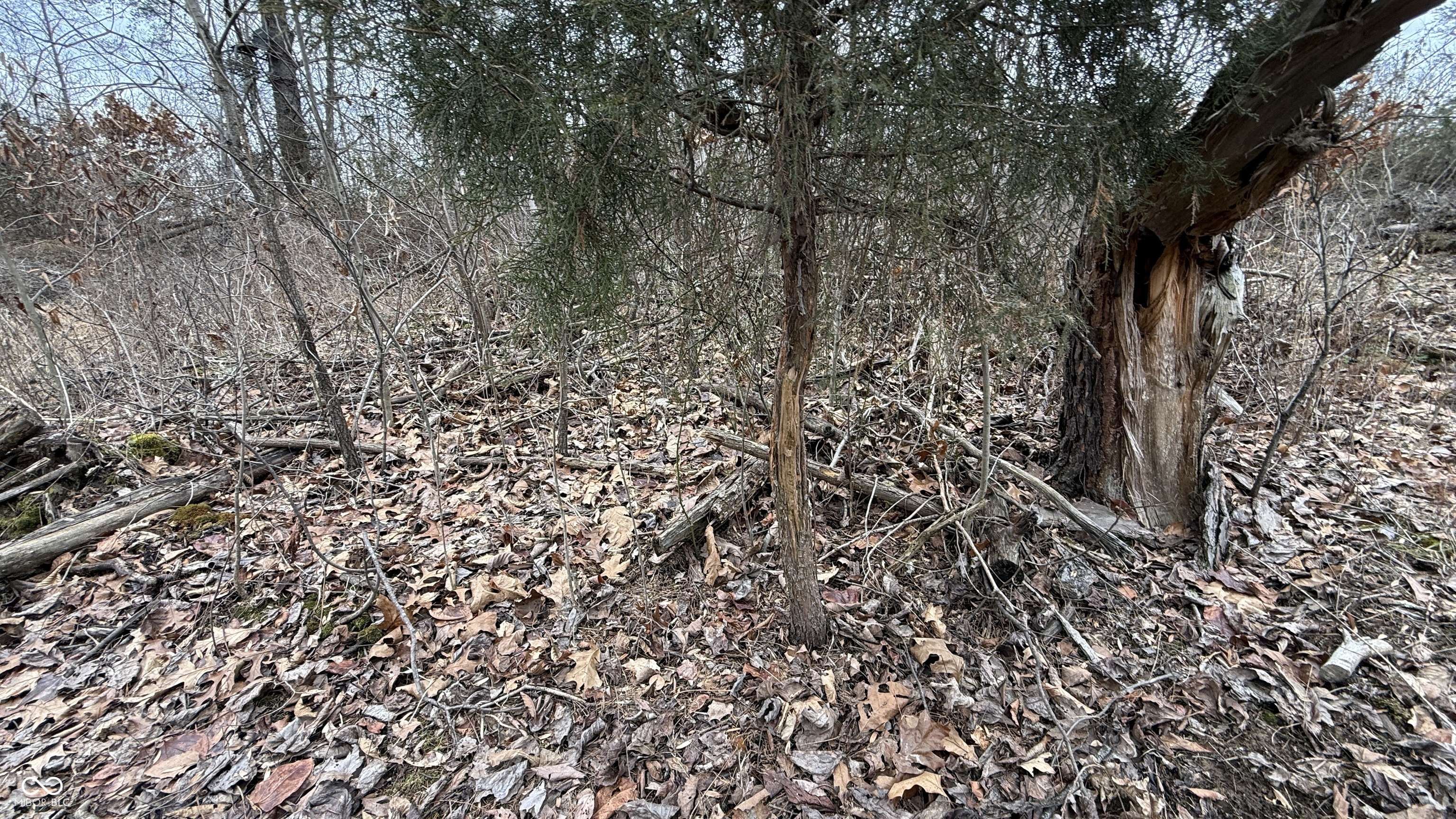 0 Steubenville Road Coal City, IN 47427 - Photo 22 of 75